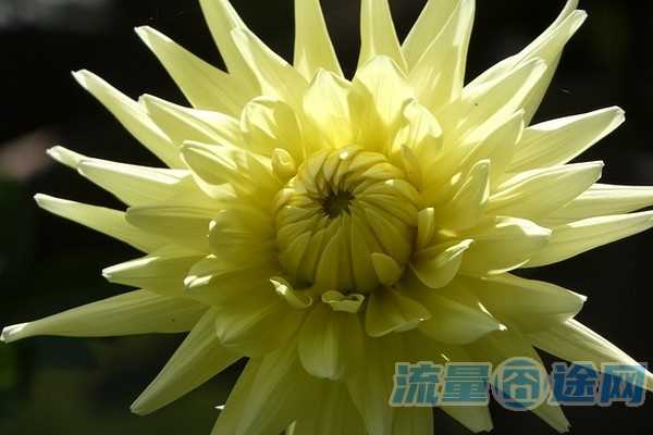 安徽电信流量多的卡能用吗（安徽电信流量超出怎么收费）2