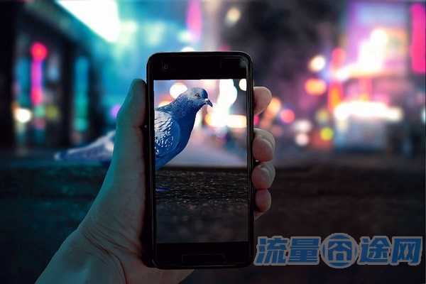 流量囧途文章-澳门流量卡怎么操作（去澳门流量卡在哪里买）