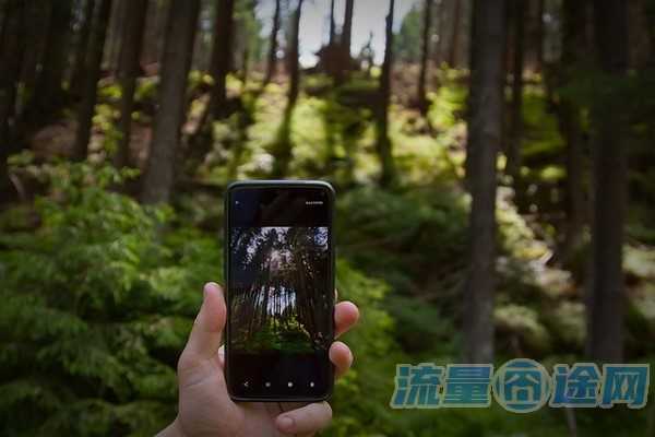 流量囧途文章-蚂蚁宝卡流量结转（支付宝蚂蚁宝卡提取流量）