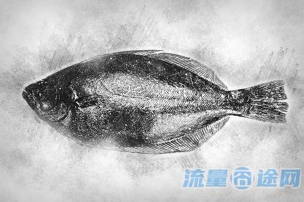 想买张手机流量多的卡（想买张手机流量多的卡怎么办）