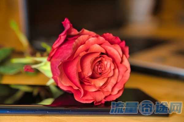 流量囧途文章-杭州移动流量卡（杭州移动流量卡9元套餐广告）