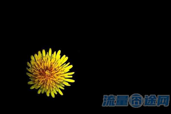 流量囧途文章-联通机场流量卡（联通飞机卡）
