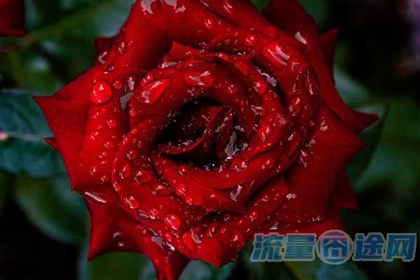 流量囧途文章-全国流量卡语颖通信（全国无限流量卡）