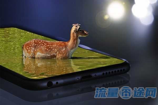 流量囧途文章-双卡双待流量如何切换（双卡双待怎么切换流量使用