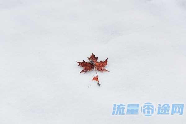 流量囧途文章-小孩怎么挂失流量卡（儿童电话卡掉了怎么办）