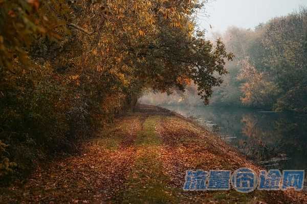 流量囧途文章-免流量的大王卡（免流量大王卡软件）