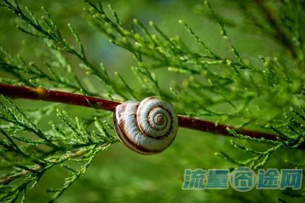 流量囧途文章-联通不限时流量卡（联通不限量流量卡）