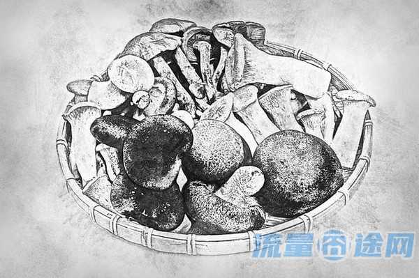 流量囧途文章-流量卡分段收费嘛（流量卡分为）