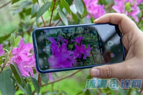 流量囧途文章-无限流量卡月租多少（无限流量卡月费多少）