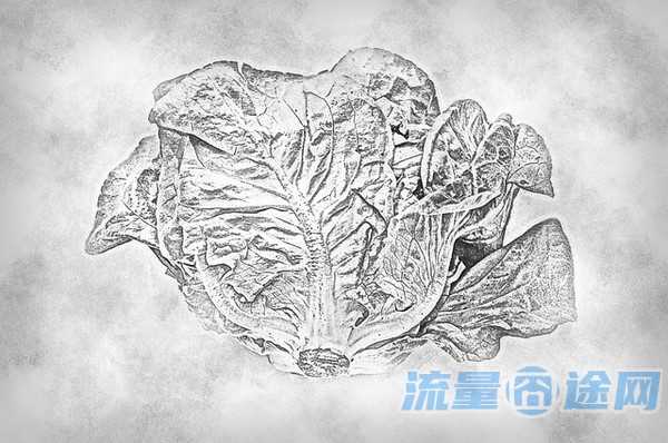 流量囧途文章-怎么查流量卡的流量（怎么查流量卡流量多少）