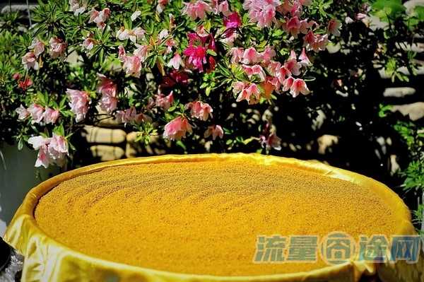 流量囧途文章-移动电视流量卡槽在哪（移动电视网卡怎么办）