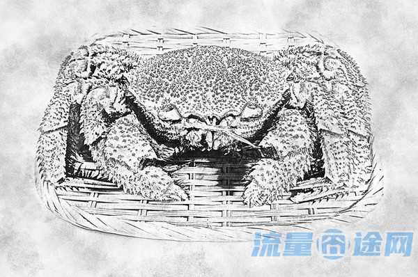 流量囧途文章-流量卡推荐靠谱永久（流量卡推荐2020）