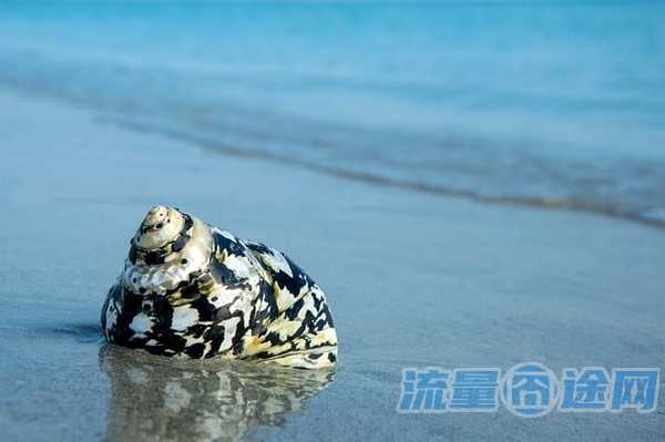 流量囧途文章-网上100个g流量卡（100个g流量卡能用多长