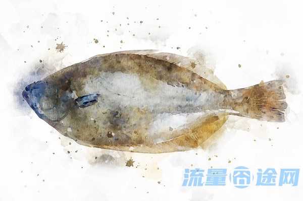 流量囧途文章-求推荐大流量电话卡（大流量手机卡推荐）