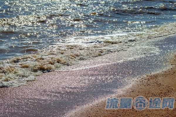流量囧途文章-移动卡怎么赠送流量（移动用户怎么赠送流量）