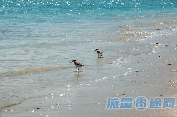 流量囧途文章-大王卡流量上限（大王卡流量上限后怎么收费）