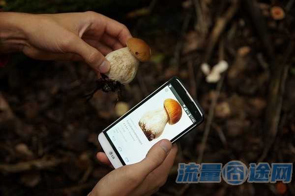 流量囧途文章-月租9流量卡（月租流量卡和套餐区别）