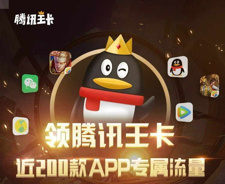 联通大王卡29元包30G定向流量+通话0.1元/分钟 套餐介