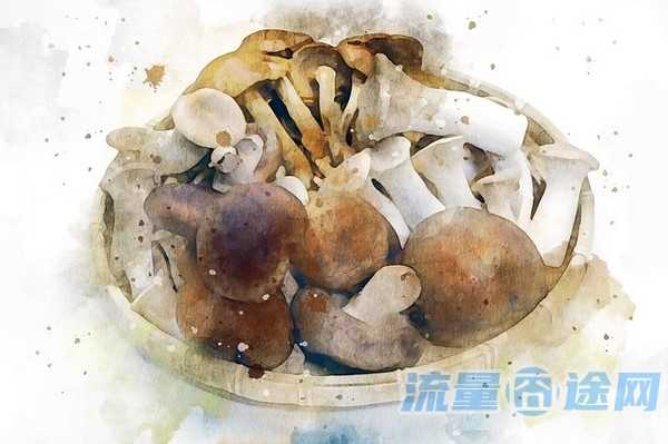 流量囧途文章-电信卡流量怎么买流量（中国电信卡怎么买流量）