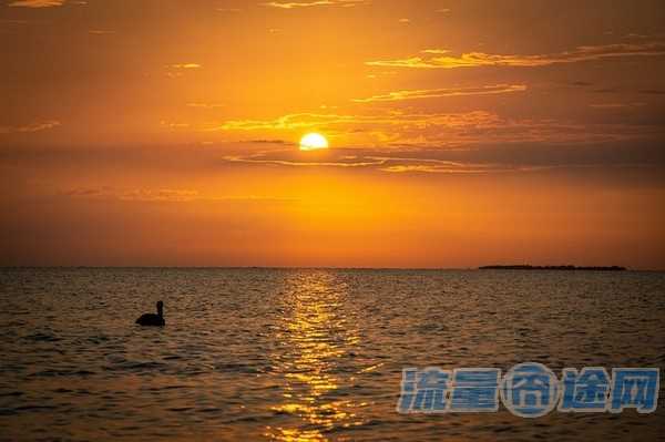 流量囧途文章-奥迪流量卡怎么充值（奥迪流量卡怎么充值不了）