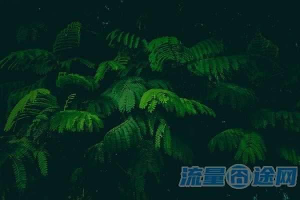 流量囧途文章-潍坊手机卡流量卡（枣庄流量卡）