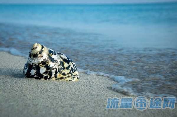 流量囧途文章-移动流量至尊卡38元（移动至尊卡9元）