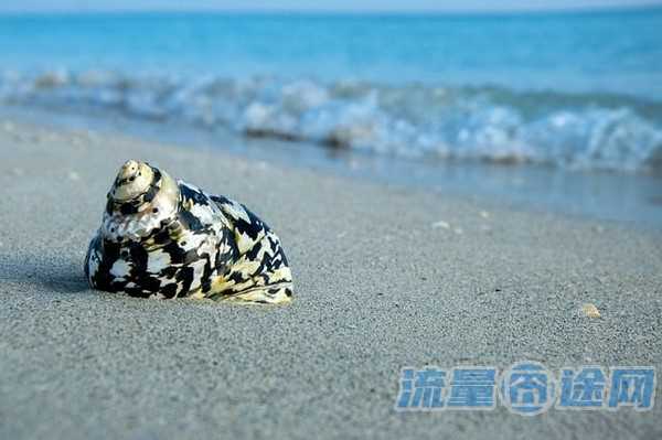 流量囧途文章-联通流量王卡怎么查流量（联通王卡流量查询）