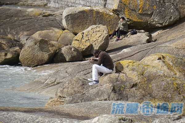 流量囧途文章-电信卡流量怎么领取（电信手机卡怎么领流量）