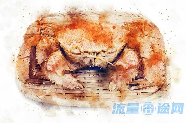 流量囧途文章-怎么查看国外的流量卡（国外的流量卡怎么用）