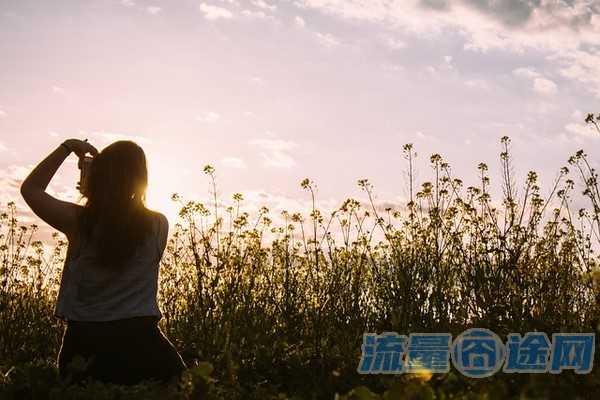 流量囧途文章-新星速流量卡（星速物联流量卡真的假的）