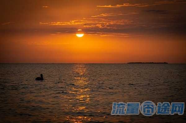 流量囧途文章-流量卡怎么选拼多多（流量卡怎么选拼多多商品）