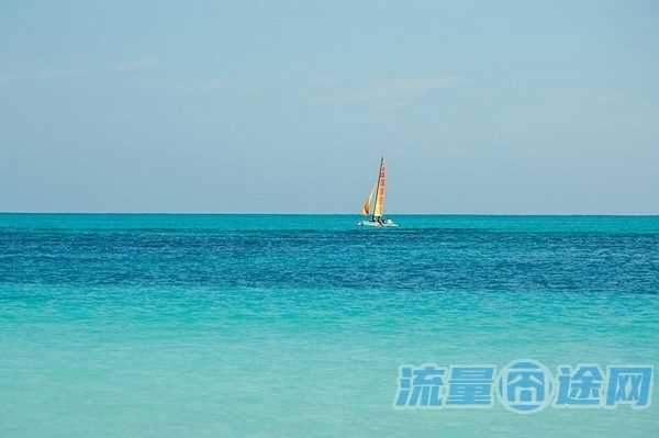 留学加拿大手机流量卡2024(加拿大手机流量贵吗)2