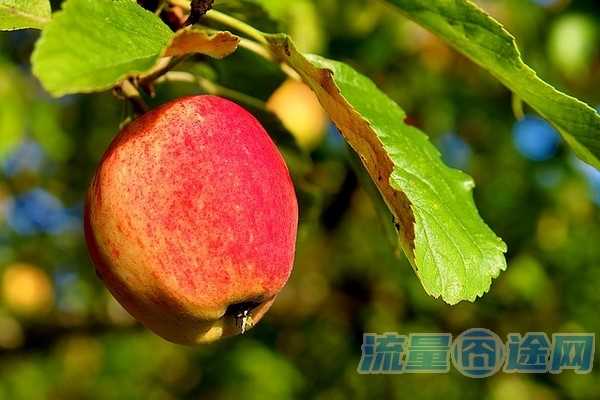 流量囧途文章-移动卡补充流量怎么取消（移动流量补救包）