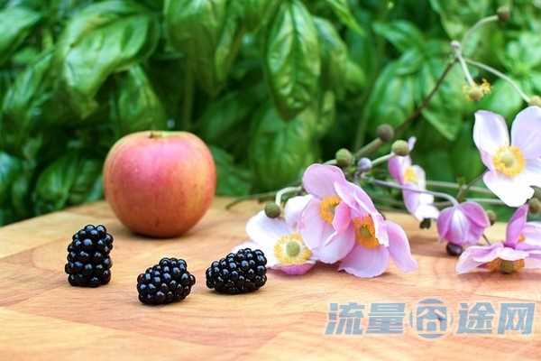 流量囧途文章-爱奇艺电信免流量卡（爱奇艺电信免流量服务）