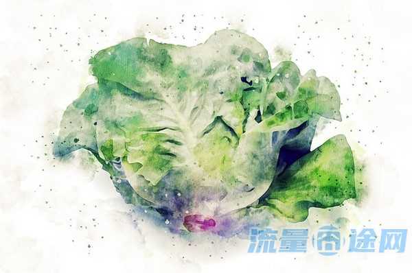 惠州移动通用流量多的卡(广东移动流量多的卡)1