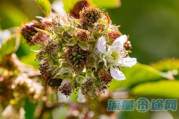 移动流量多又便宜的卡（移动流量多又便宜的卡套餐）