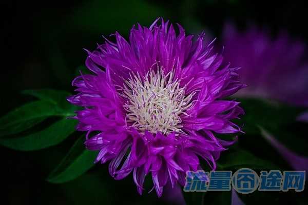 价钱便宜流量多的卡(流量多价格低的卡)1