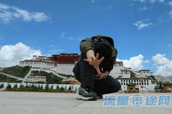 流量囧途文章-河南大王流量卡如何购买（大王流量卡怎么收费的）